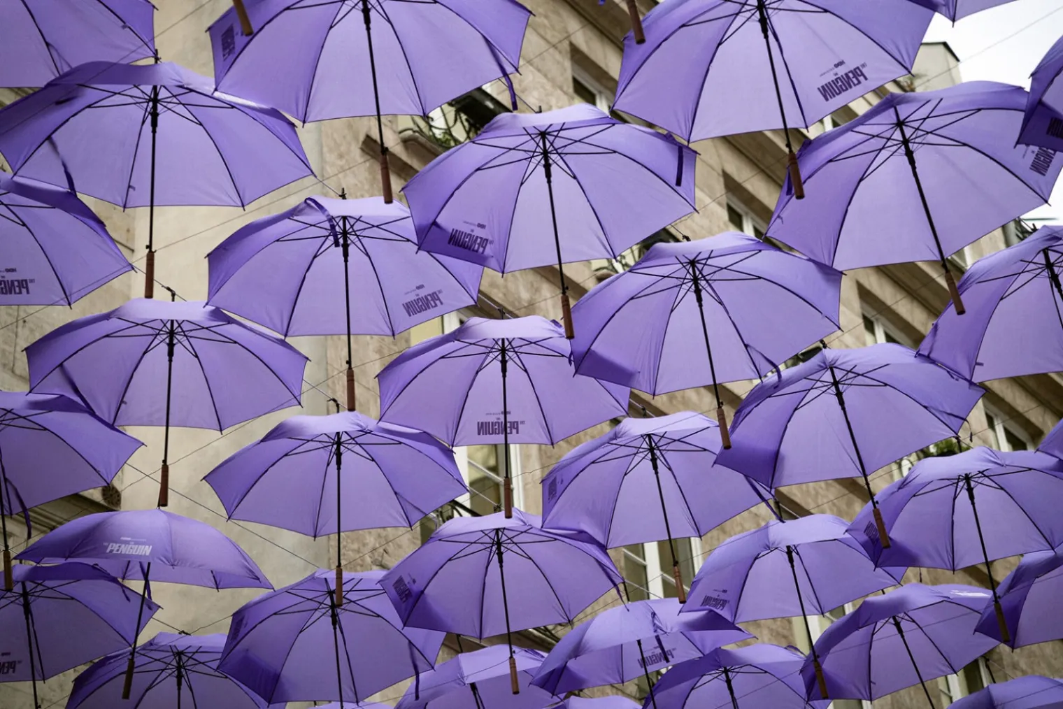 la-rue-montorgueil-en-mode-ultra-violet-pour-the-penguin
