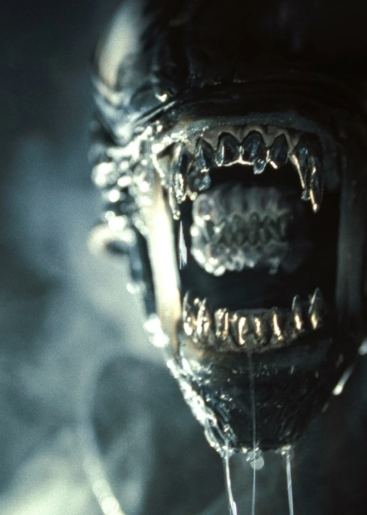 Alien Romulus&nbsp;: le xénomorphe revient&nbsp;en&nbsp;4K