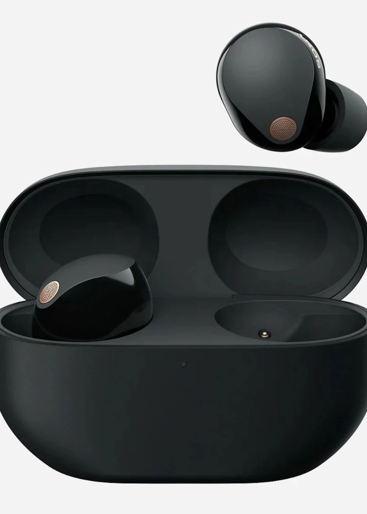 Black Friday 24 > True Wireless Sony WF‑1000XM5 (+code Audio10), affichée à&nbsp;207&nbsp;€ seulement, soit ‑32%&nbsp;de&nbsp;remise