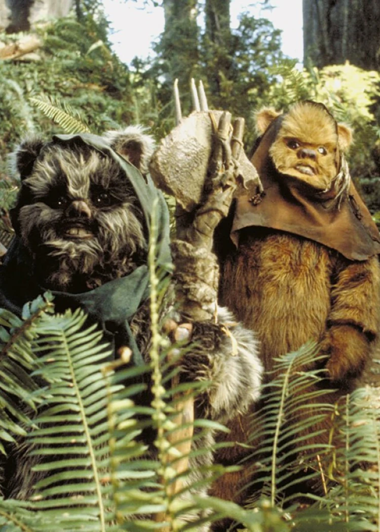 Le réalisateur de Dune hanté par les Ewoks&nbsp;!&nbsp;Explications