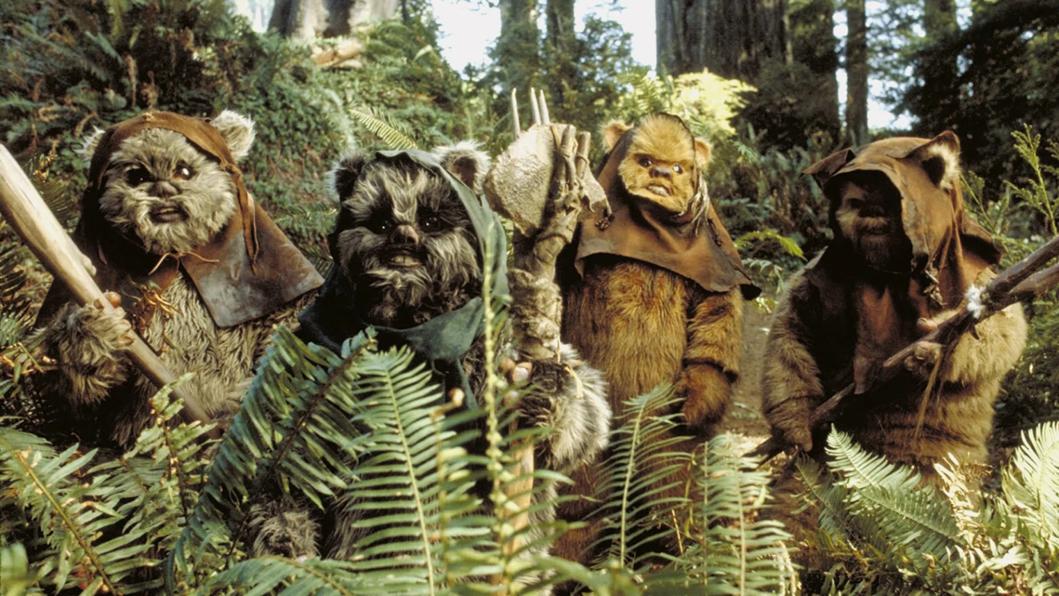 Le réalisateur de Dune hanté par les Ewoks ! Explications
