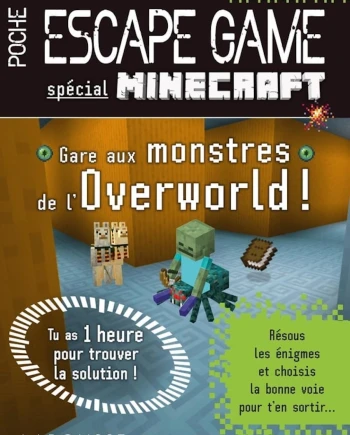 Le Minecraft dont vous êtes&nbsp;le&nbsp;héros
