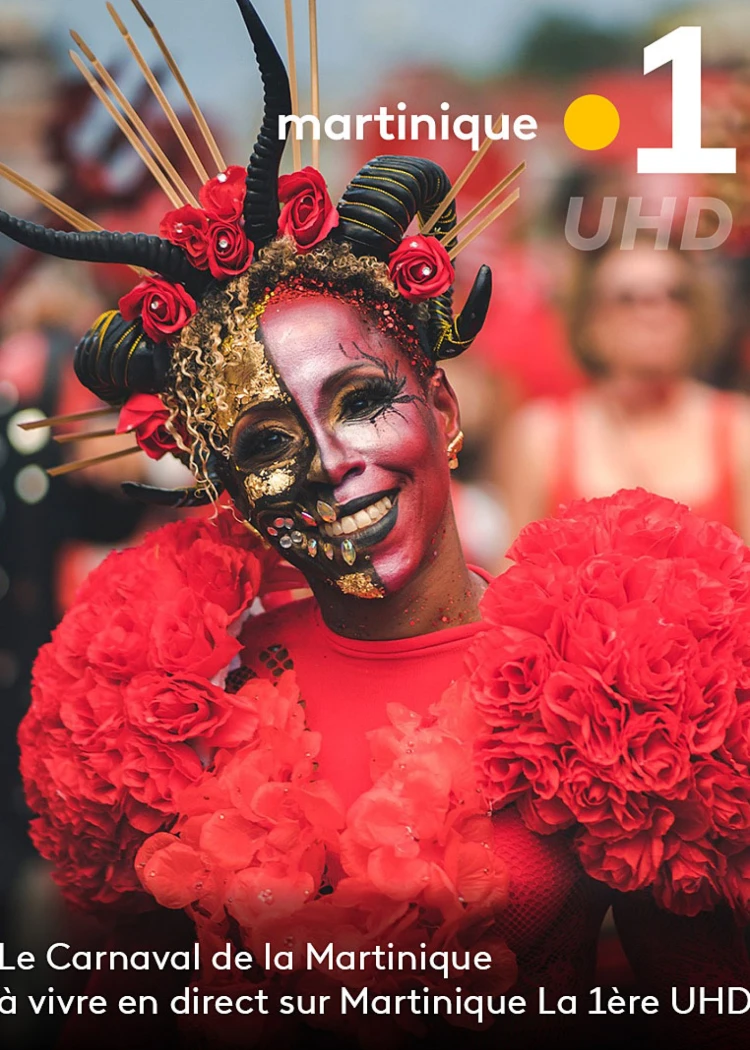 TNT 4K HDR10+ et HDR Dolby Vision sur France&nbsp;Televisions pour le Carnaval de&nbsp;Martinique