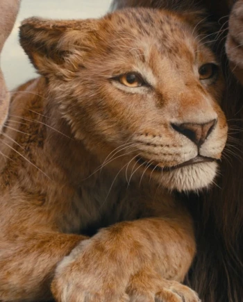 Mufasa 4K, quand, comment… les infos viennent de&nbsp;tomber
