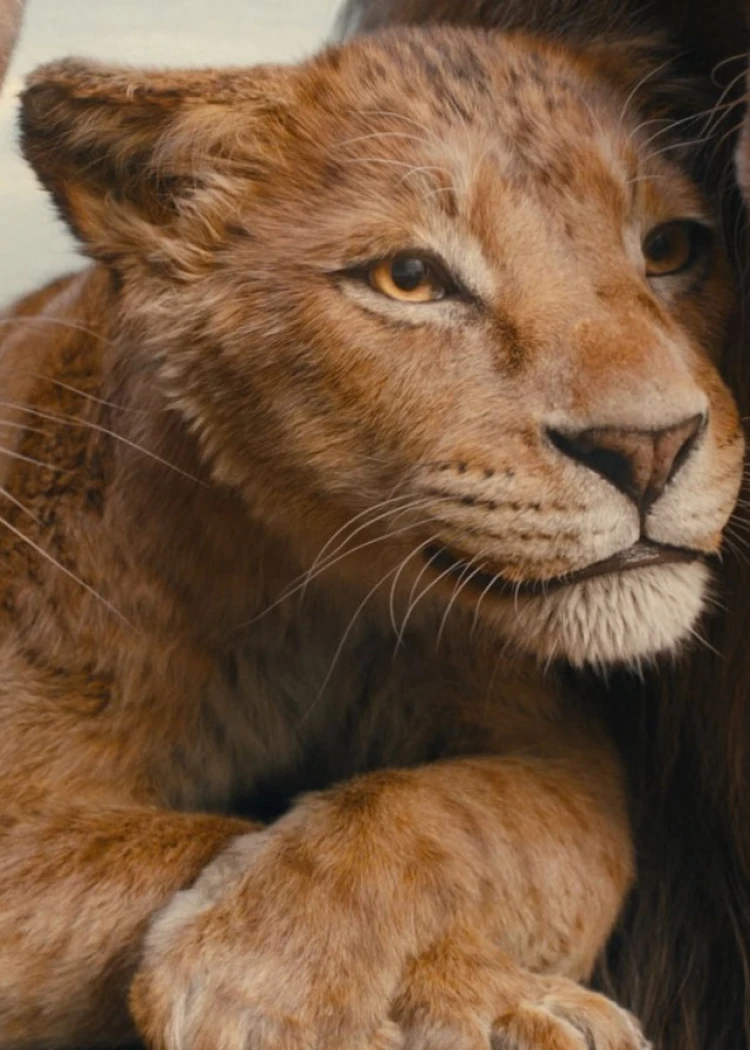 Mufasa 4K, quand, comment… les infos viennent de&nbsp;tomber