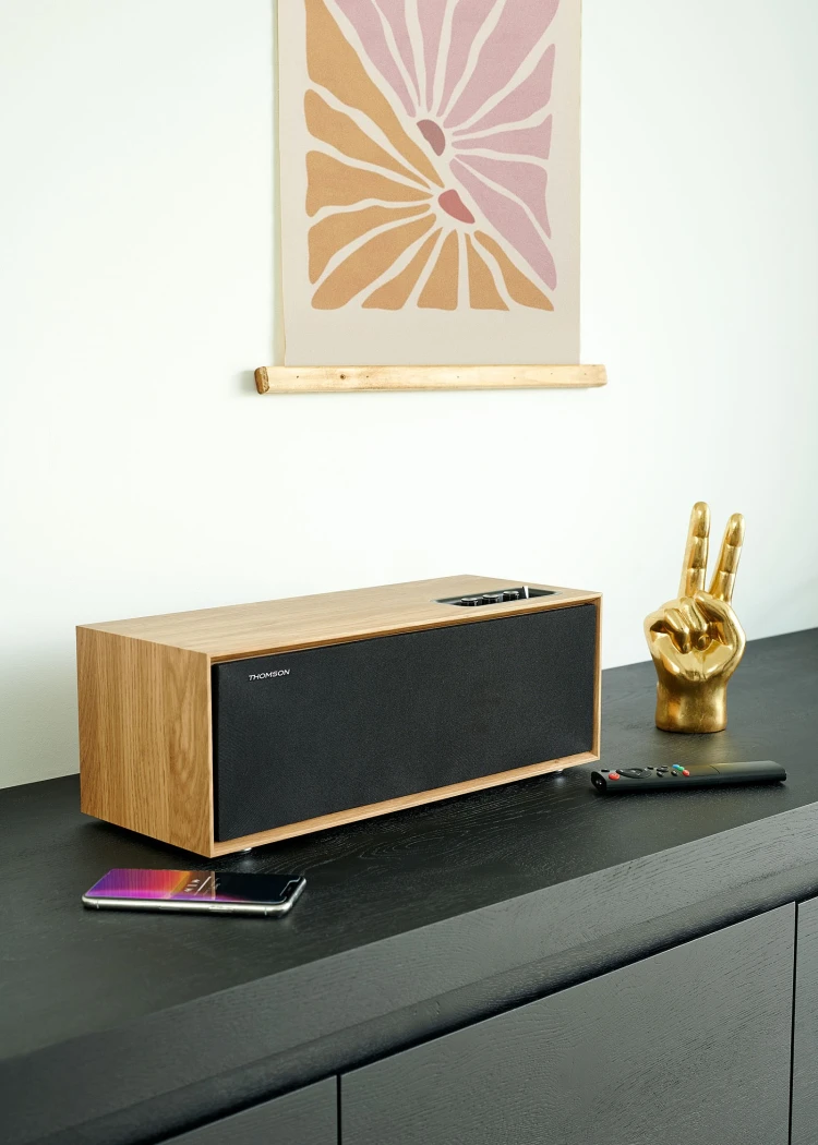 Enceinte Bluetooth Thomson Cosy&nbsp;WS702, Belle au bois (pas&nbsp;dormant)