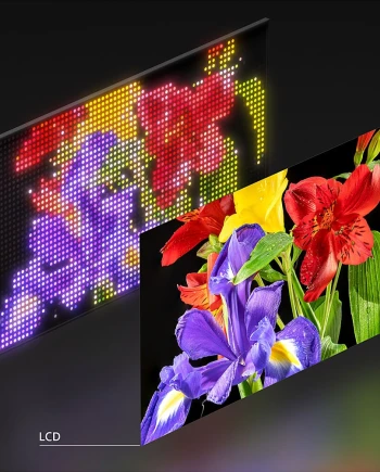 TV RVB Mini LED Sony en 2026, c'est&nbsp;officiel