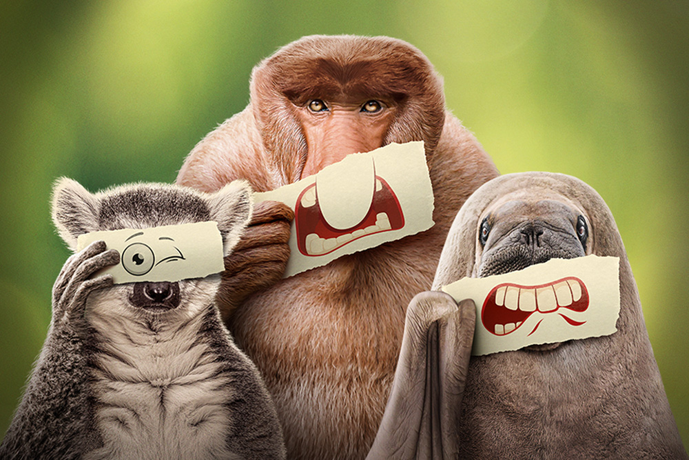 Les outsiders du monde animal, à partir du 16 juin
