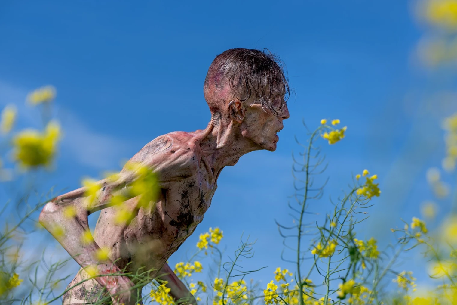 avec-28-ans-plus-tard-danny-boyle-donne-un-nouveau-sens-au-film-de-zombie