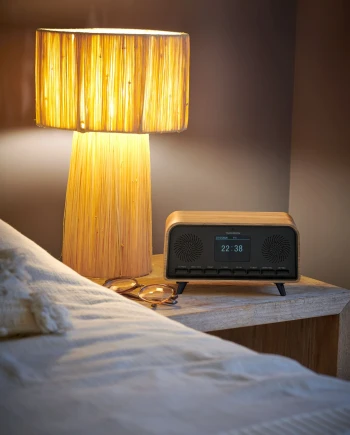 Thomson RT850DABBT&nbsp;: DAB+/FM +&nbsp;enceinte Bluetooth au look&nbsp;vintage