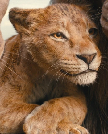 Mufasa : le roi lion sur Disney+ à la&nbsp;rentrée