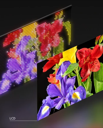 TV Sony 2026 Bravia&nbsp;9&nbsp;II/Bravia&nbsp;7&nbsp;II, cap sur la technologie Mini LED&nbsp;RGB&nbsp;?