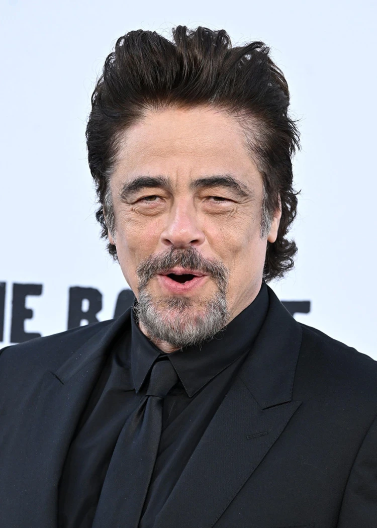 Benicio del Toro en négociations pour la préquelle Ocean’s&nbsp;Eleven