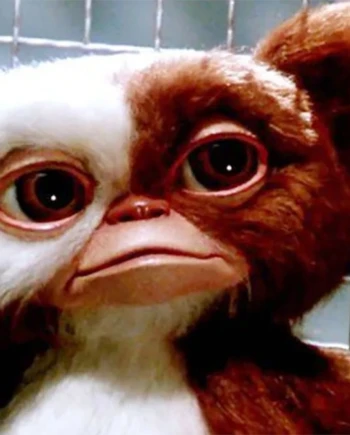 Columbus et Spielberg annoncent Gremlins&nbsp;3