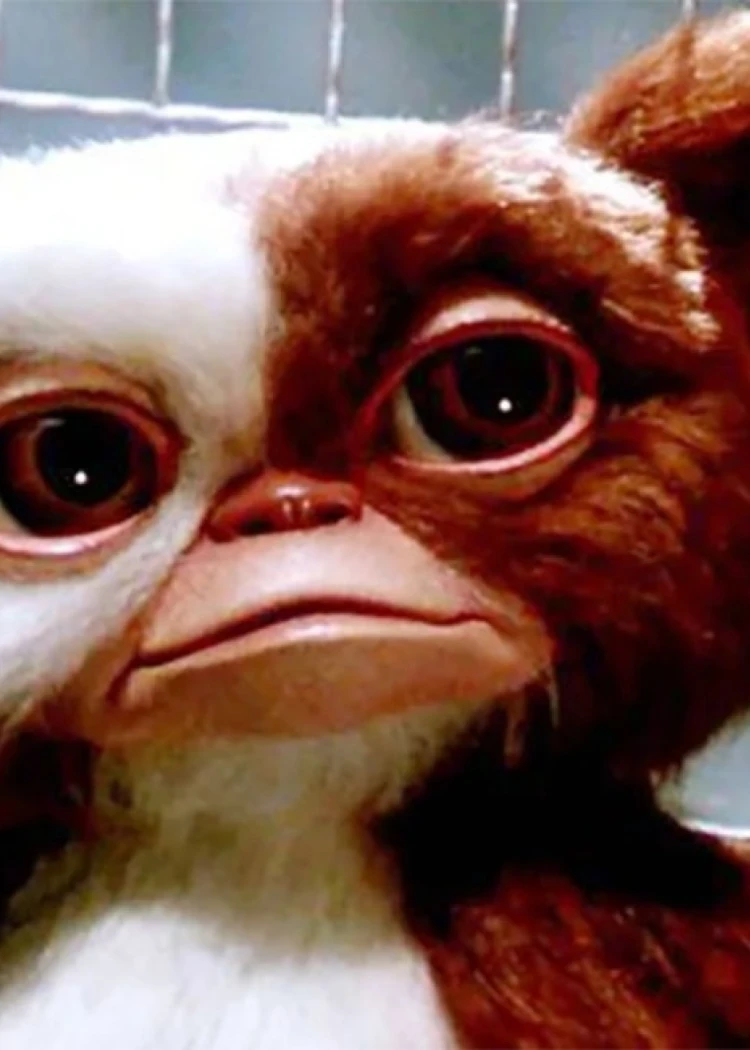 Columbus et Spielberg annoncent Gremlins&nbsp;3