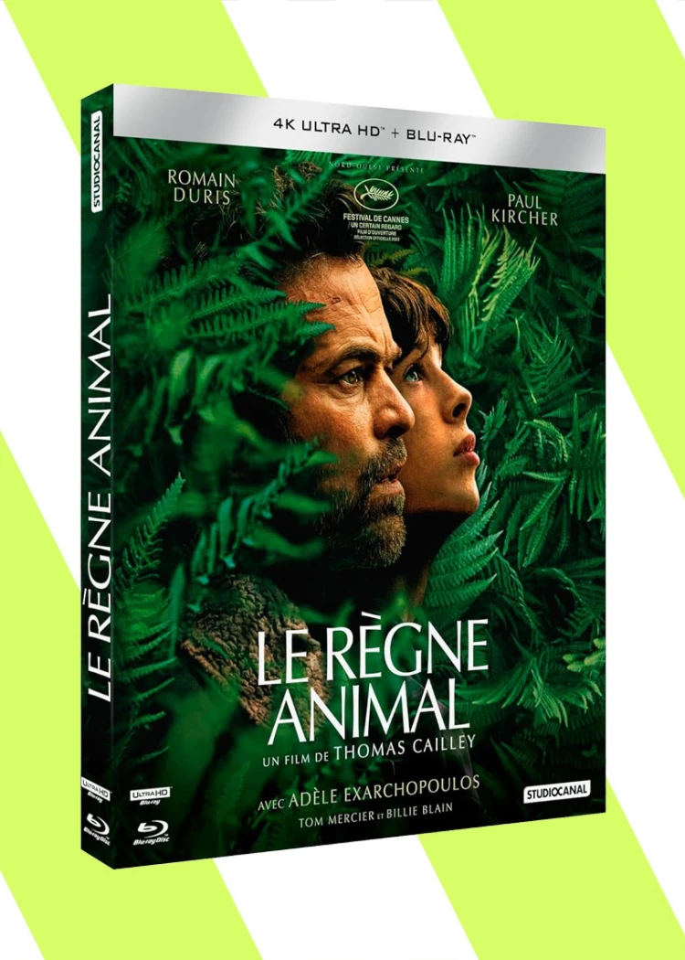 Promotion Amazon, 2&nbsp;titres 4K pour&nbsp;24,99&nbsp;€