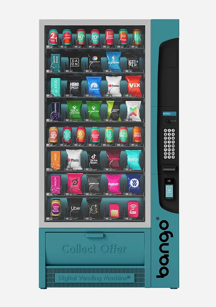 le-budget-du-foyer-sacrifie-pour-garder-netflix