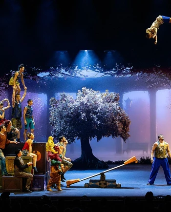 Les vidéoprojecteurs Epson pimentent le Cirque du&nbsp;Soleil