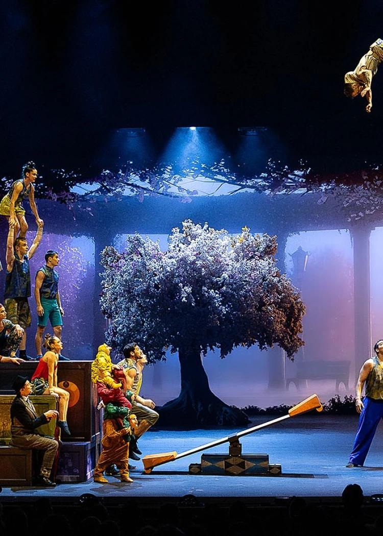 Les vidéoprojecteurs Epson pimentent le Cirque&nbsp;du&nbsp;Soleil