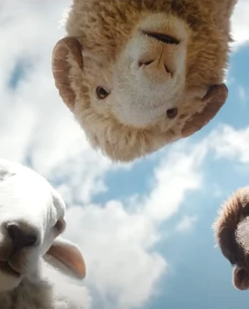 Hugh Jackman dans un whodunit avec des moutons&nbsp;: Kamoulox et bande‑annonce