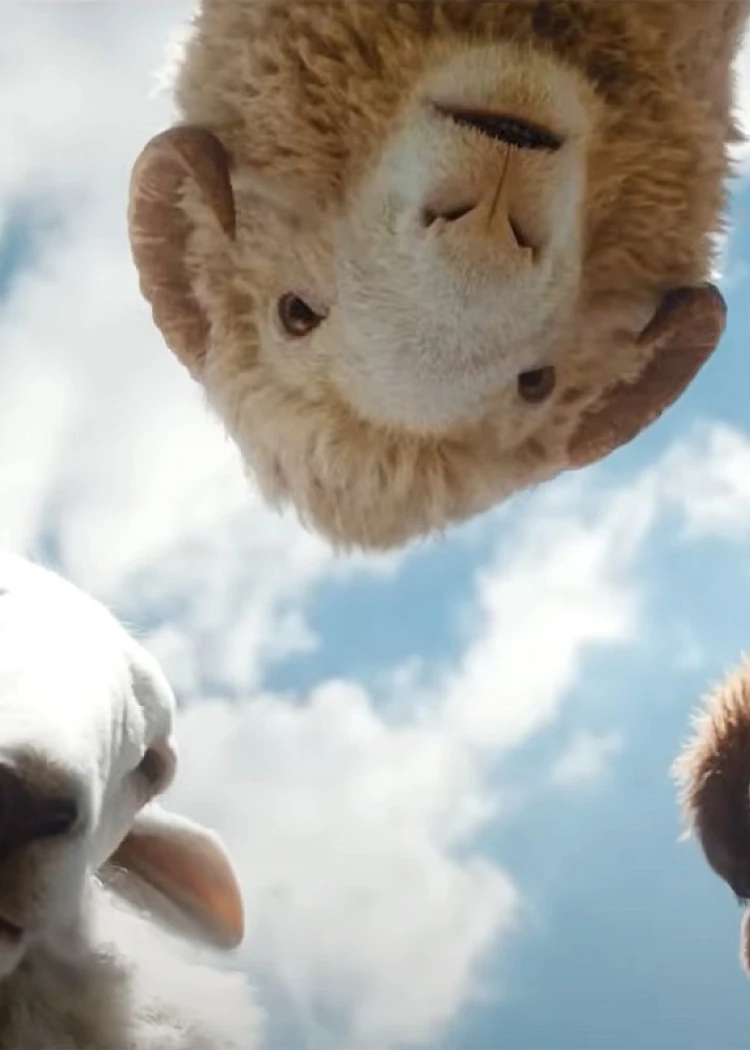 Hugh Jackman dans un whodunit avec des moutons&nbsp;: Kamoulox et bande‑annonce
