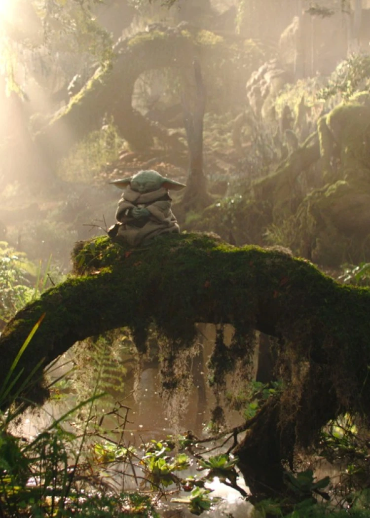 The Mandalorian and Grogu, mignons et énervés dans le trailer&nbsp;officiel