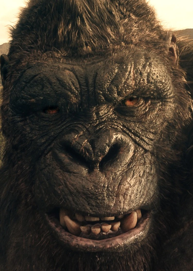 Monarch&nbsp;: Legacy of Monsters saison&nbsp;2, on en&nbsp;pense&nbsp;quoi&nbsp;?
