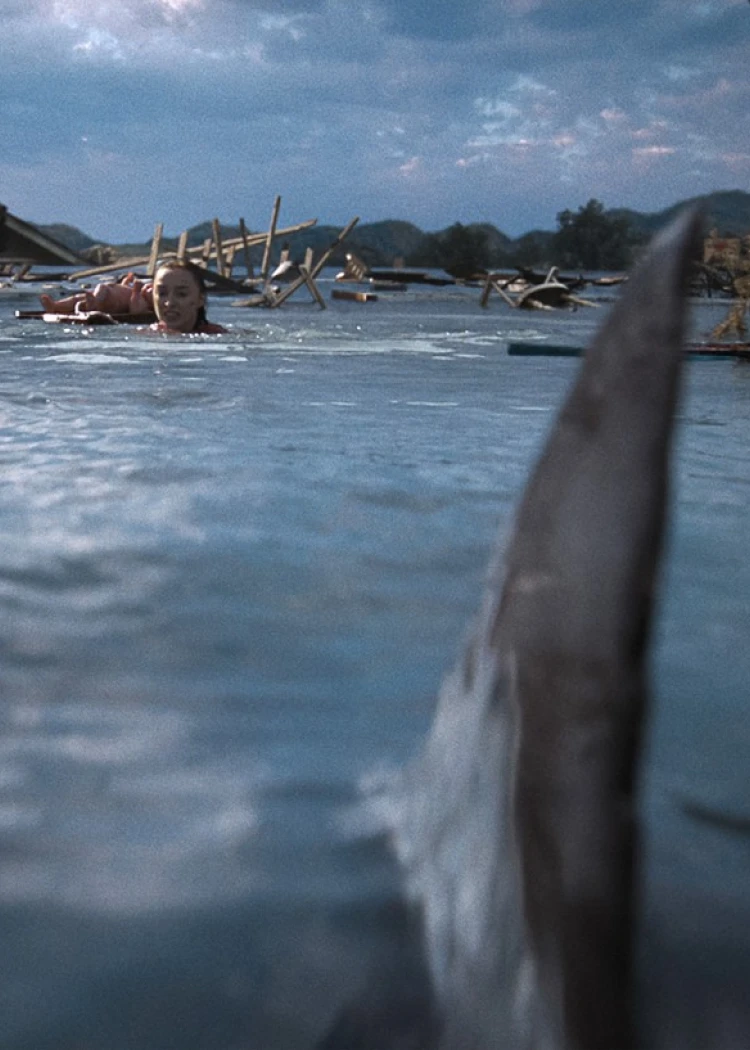 Netflix et le requin, ça&nbsp;continue