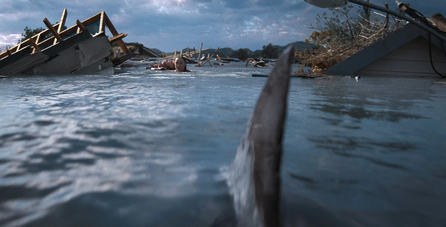 netflix-et-le-requin-ca-continue