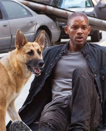 I Am Legend&nbsp;2 confirmé avec le réalisateur de Transformers&nbsp;: Rise of the Beasts et&nbsp;Creed&nbsp;II