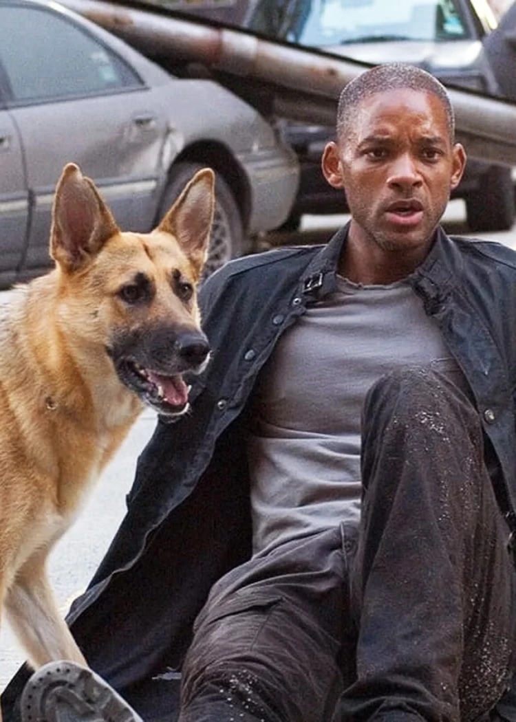 I Am Legend&nbsp;2 confirmé avec le réalisateur de Transformers&nbsp;: Rise of the Beasts et&nbsp;Creed&nbsp;II