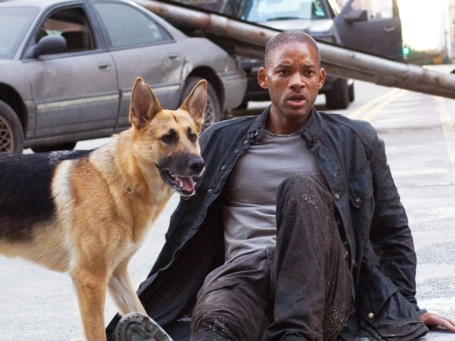 i-am-legend-2-confirme-avec-le-realisateur-de-transformers-rise-of-the-beasts-et-creed-ii