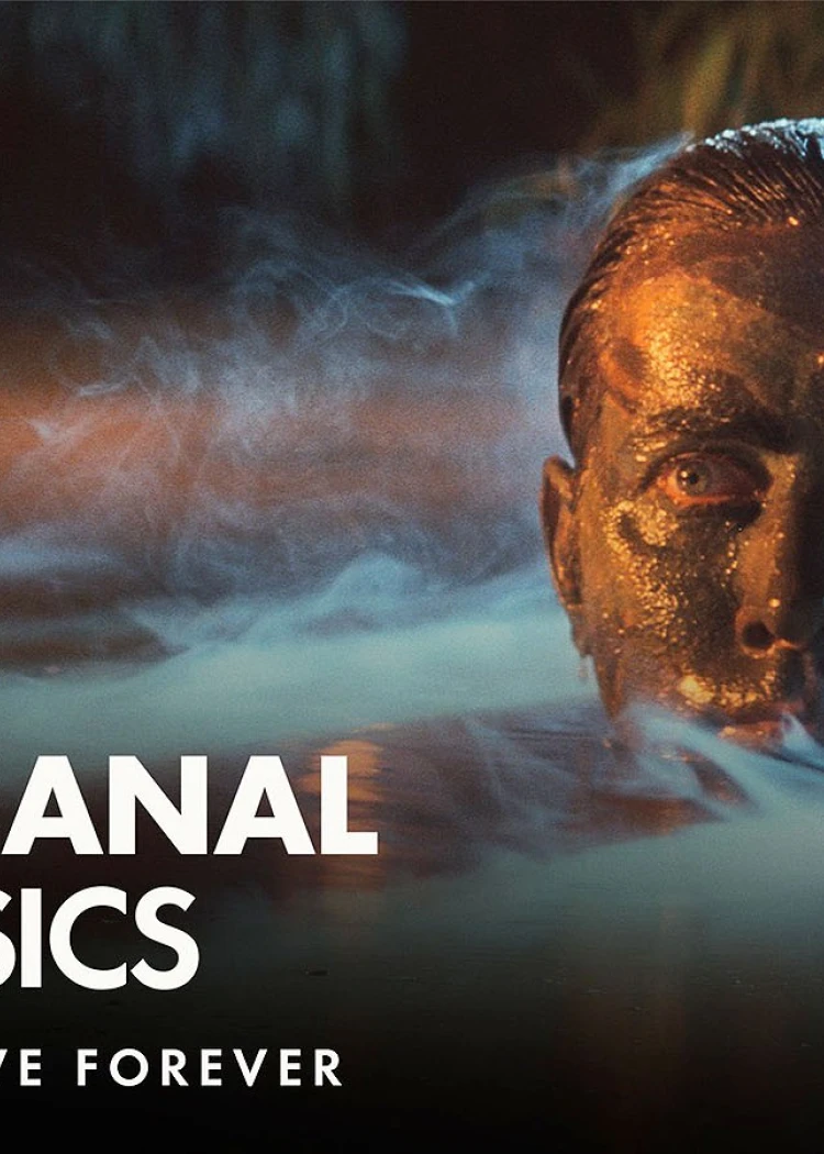 Studiocanal Classics&nbsp;: 1&nbsp;000 chefs‑d'œuvre restaurés en&nbsp;4K, de Terminator&nbsp;2 à&nbsp;David&nbsp;Lynch