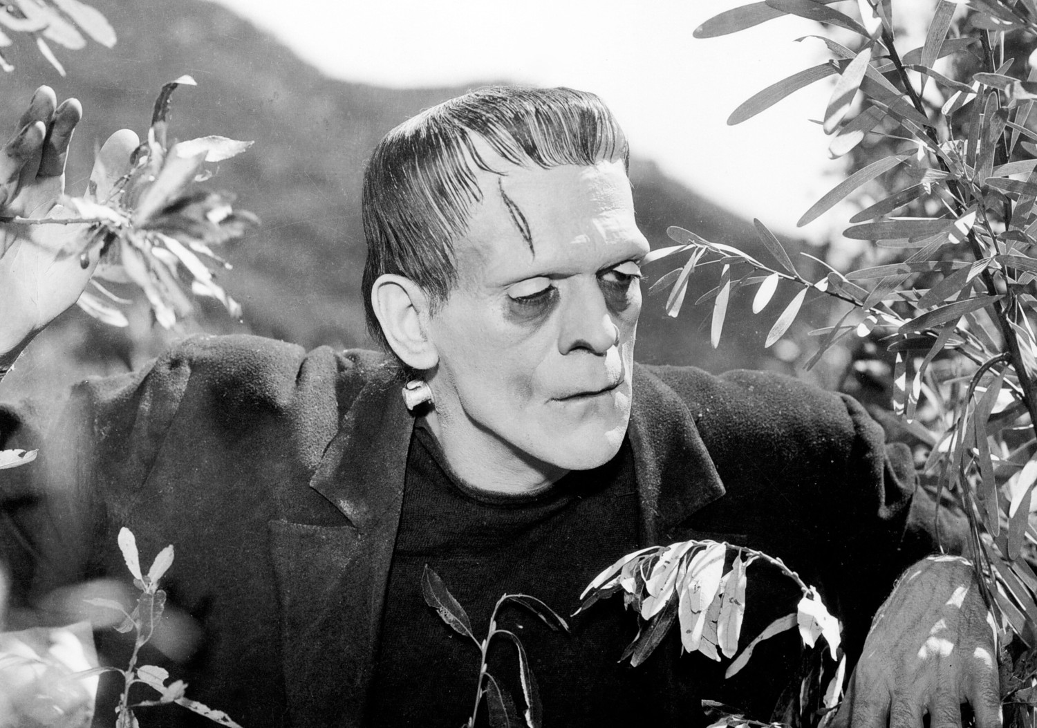 Frankenstein, et l’Homme créa la Bête