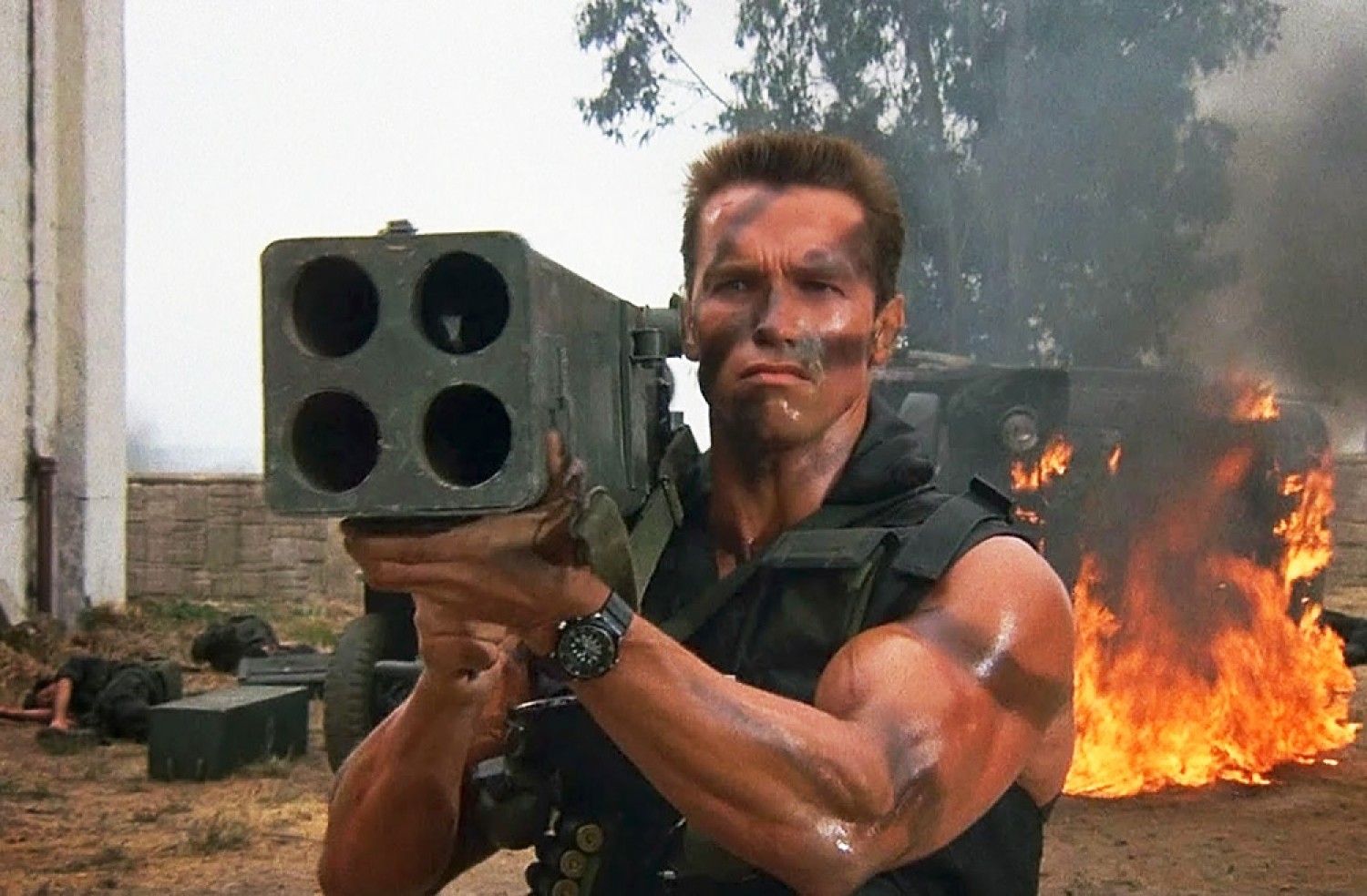 Arnold Schwarzenegger, de Graz à Hollywood