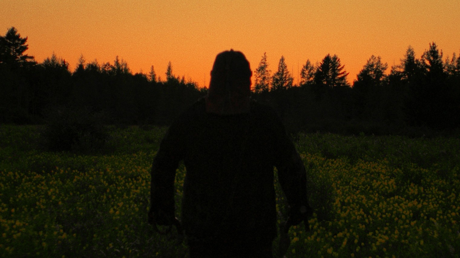 In a Violent Nature