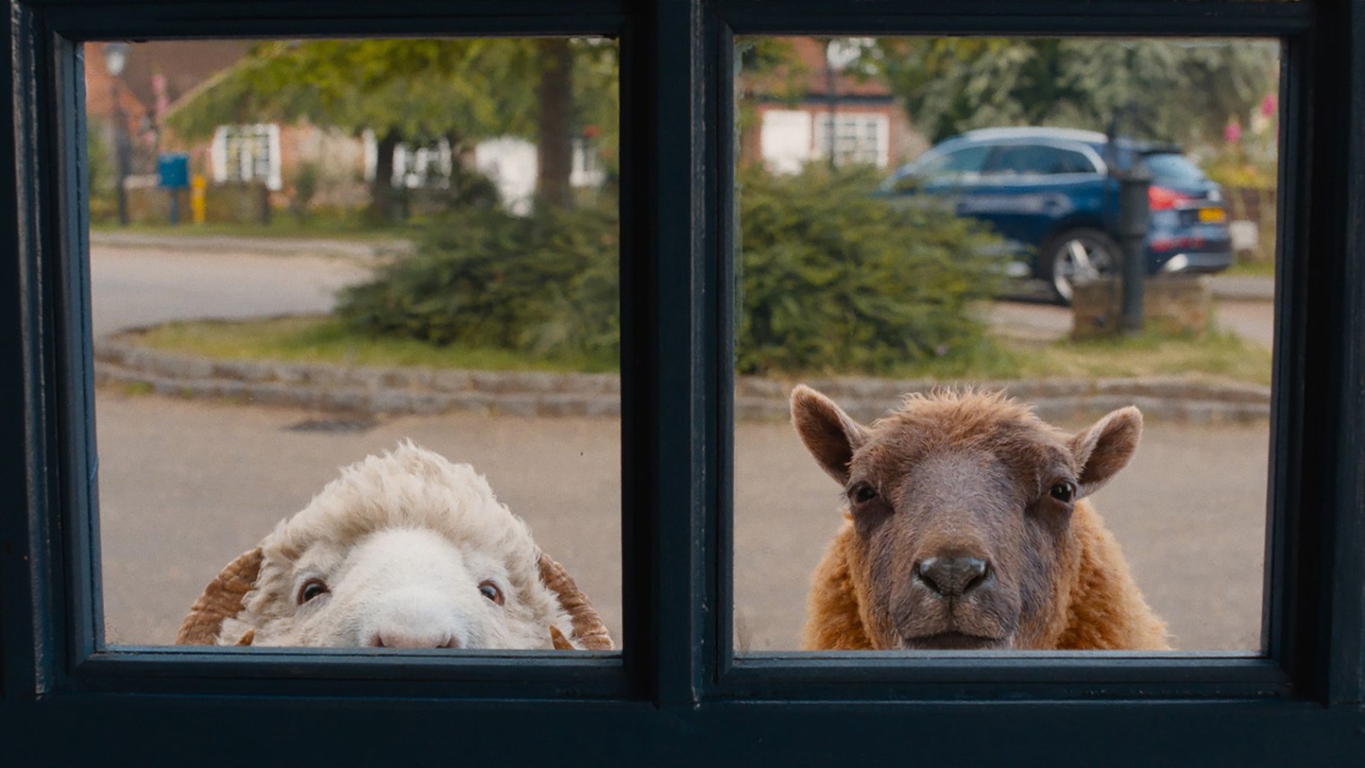 Les moutons détectives