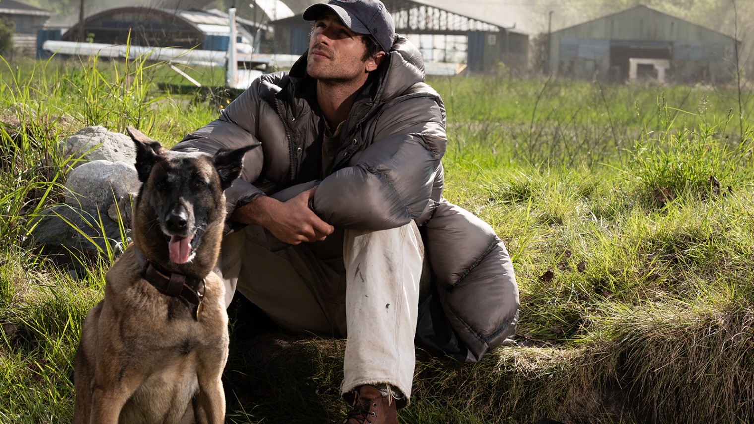The Dog Stars