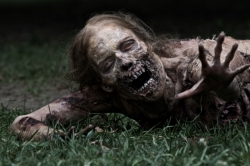 The Walking Dead saison 1 (2010)