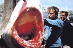 Les dents de la mer (1975)