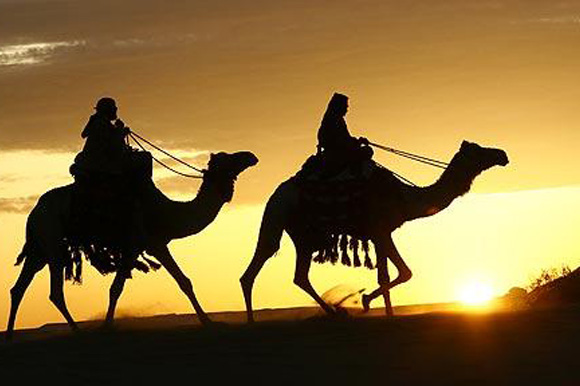 Arabia 3D