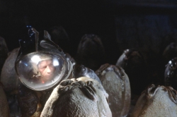 Alien, le huitième passager - Coffret Anthologie (1979)