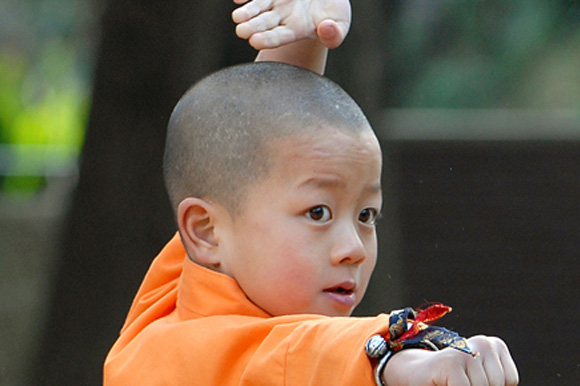 Kung-Fu Kid