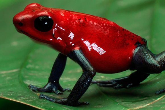 Waterlife, le pouvoir et l'importance de l'eau sur Terre