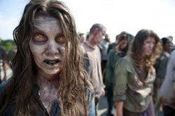 The Walking Dead saison 2 (2011-2012)