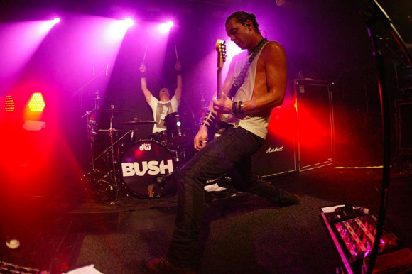 Bush : Live !