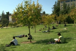 At Berkeley (2013)
