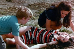 I Drink your Blood (1970)