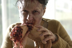 Diary of the Dead : chroniques des morts vivants (2007)