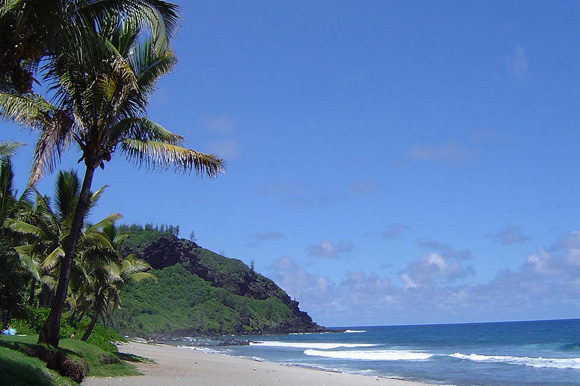 Des Racines et des Ailes : la Réunion